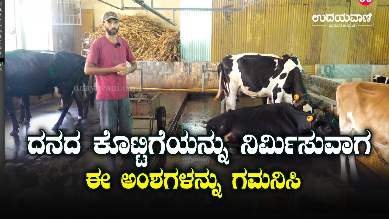 ಕೊಟ್ಟಿಗೆ ನಿರ್ಮಾಣ ಮಾಡಲು ಸರಿಯಾದ ವಿಧಾನ | Agriculture | Udayavani
