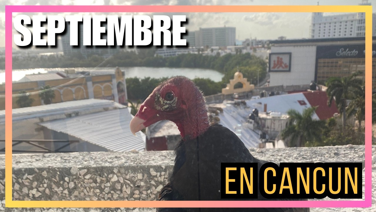 Finales de septiembre en Cancún [2025] Vlog
