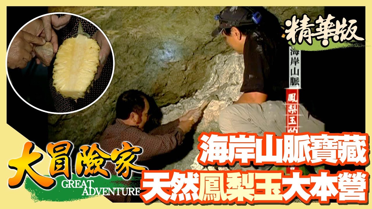【大冒險家】 海岸山脈 鳳梨玉大本營 （ 走乾溝撿玉石／抓大錦蛇）│2004.11.15│ 252集精華版
