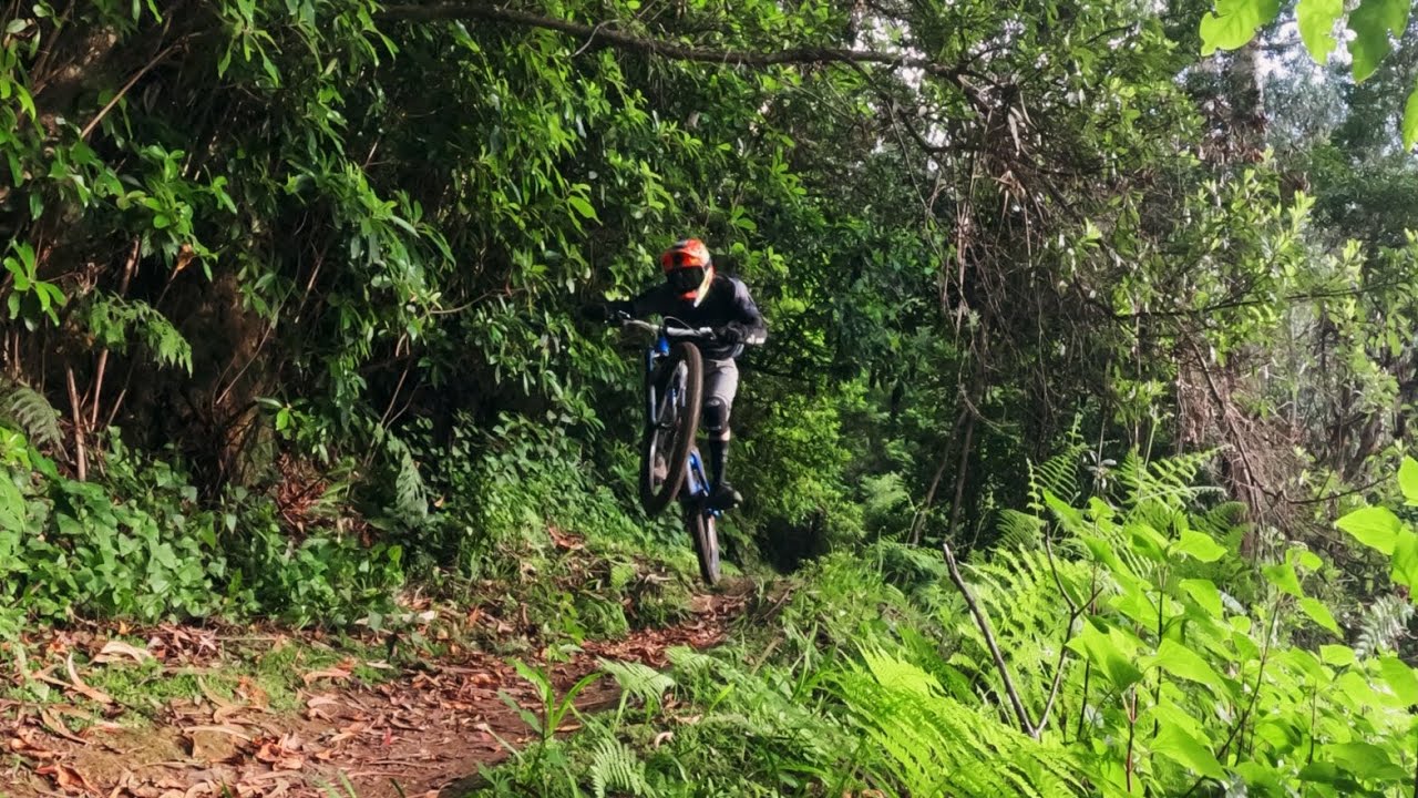 Pista das Ginjas, Downhill line,WolfOnPedal rider
