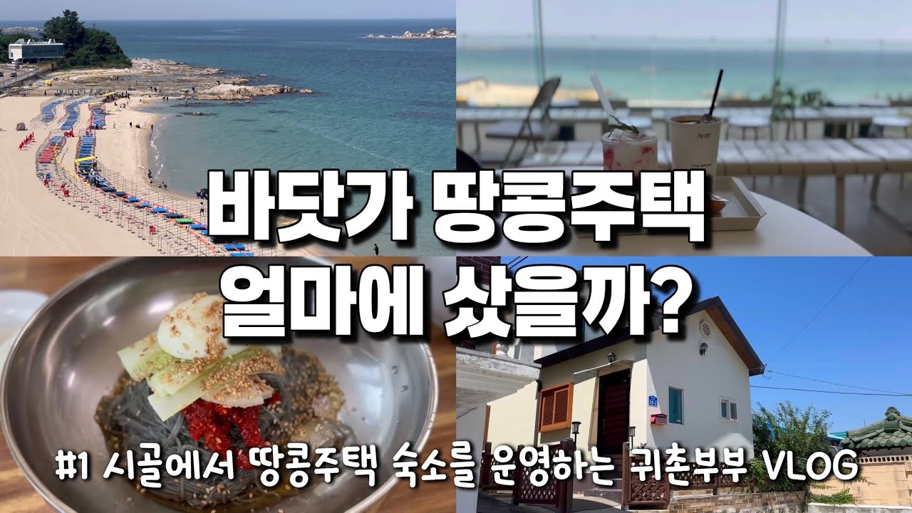 [강원도 고성 🏖️] 시골 사람들만 아는 전설의 명태회냉면 | 아야진 항 매운탕, 아야트 카페