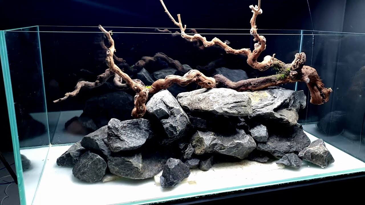 Aquascape Tutorial: 360° River Aquarium / Paludarium / Aqua Terrarium || MD FISH TANKS