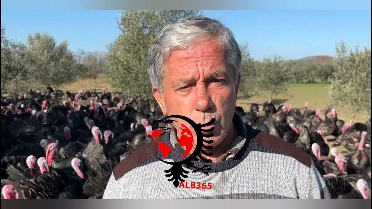 “Fermeri i Krapsit sfidon mungesën e subvencioneve: 3 mijë gjela deti gati për tregun e fundvitit”