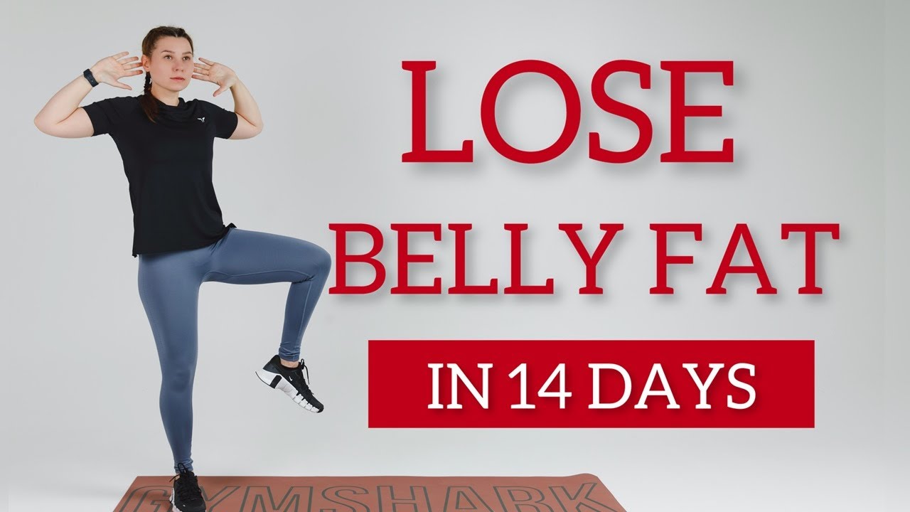 Get rid of BELLY FAT in 14 Days / 20 Min Standing Workout / No Jumping / No Squat / Home workout