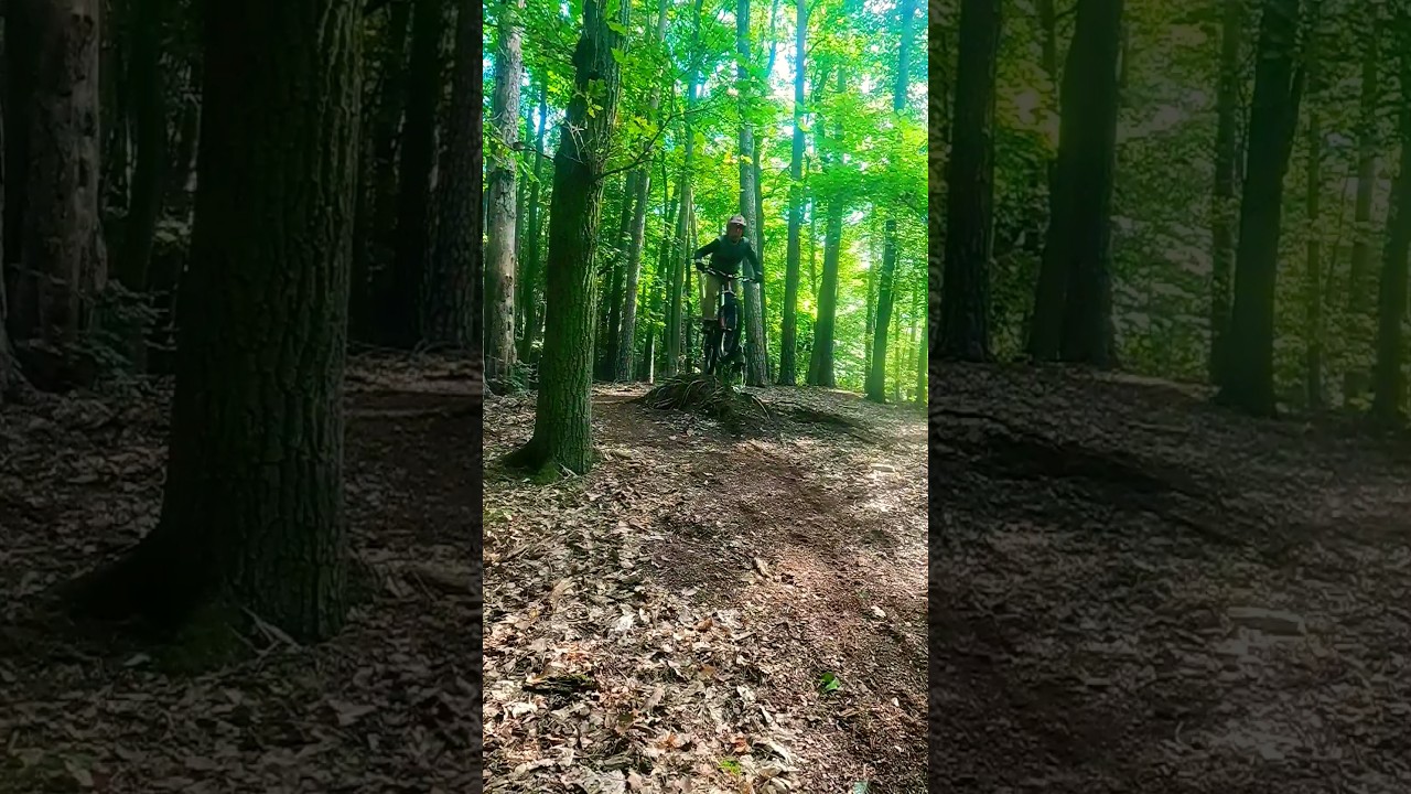 🤟wjeżdżamy w sobotę 🌲