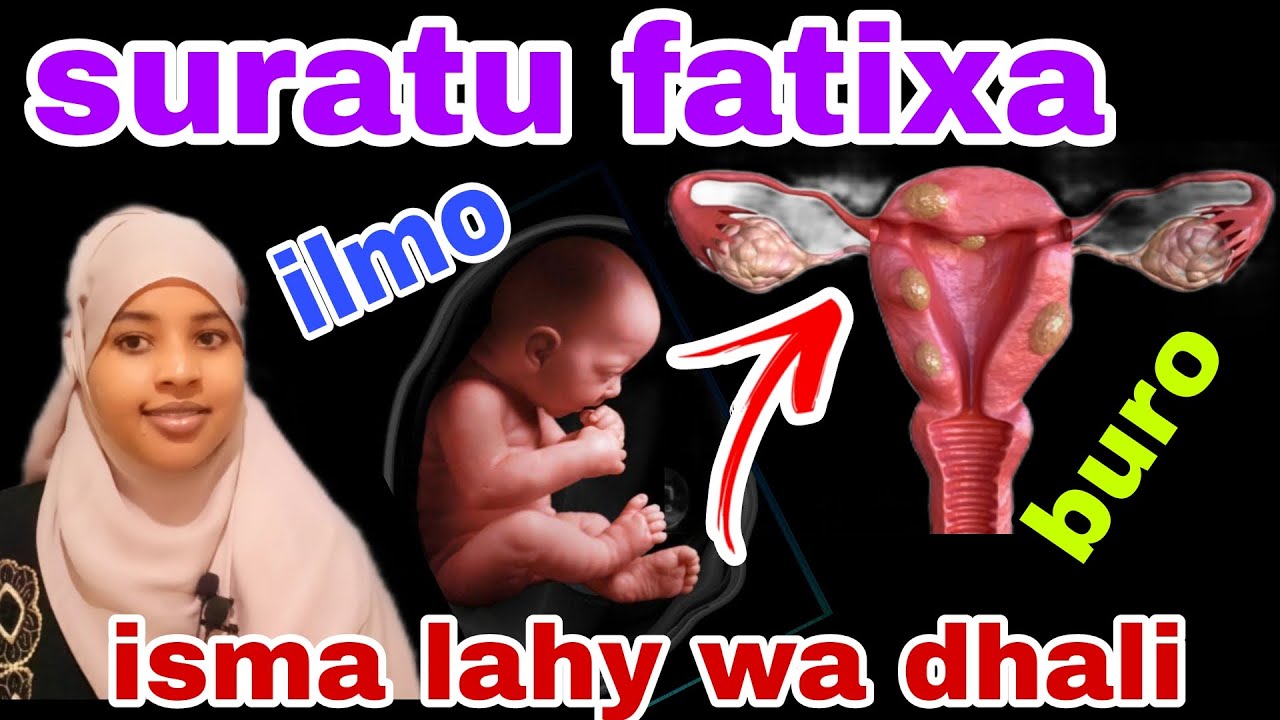 qisadaydi suratu FATIXA siday nolshaydi iskubadshey qus qadasho dheer kadib@afnaaneddabsan