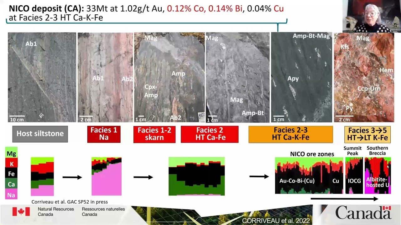 Critical Metals in Mineral Systems with IOCG and Affiliated Deposits