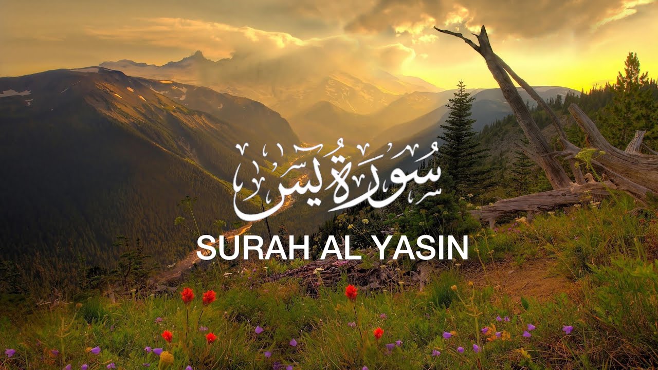 Surah Yasin – Beautiful Quran Recitation | Heart of the Qur’an
