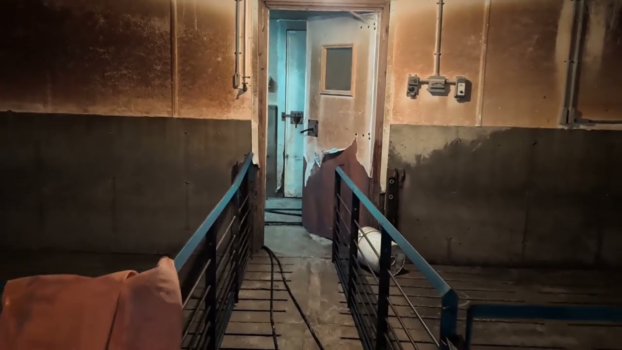 Watch me transform this 1200 Hog space Barn into sparkling clean