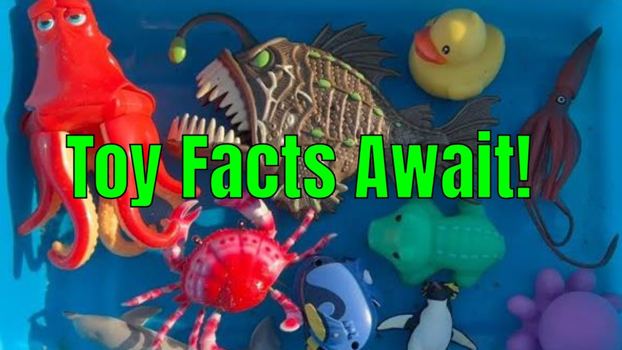 Discover Ocean Toy Facts!