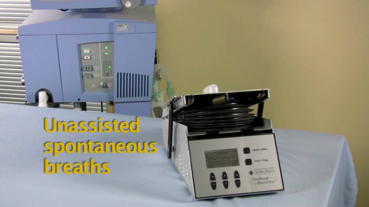 QuickLung Breather Test Lung