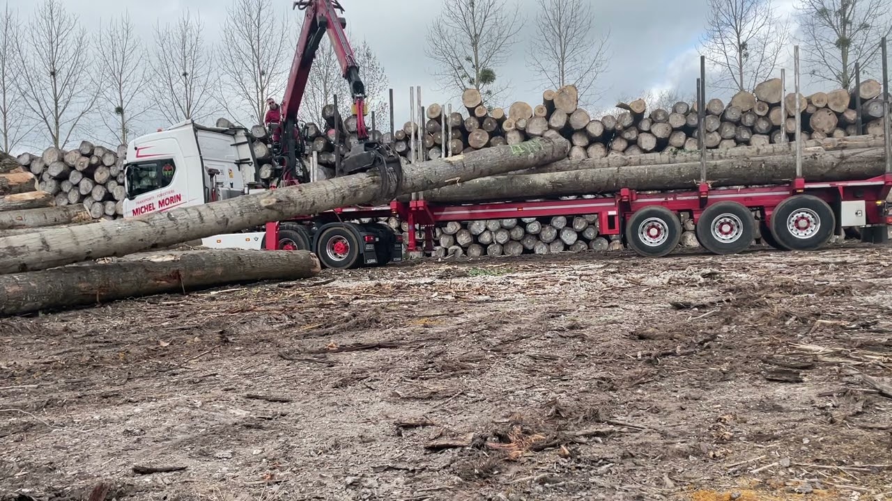Transport Forestier Michel Morin