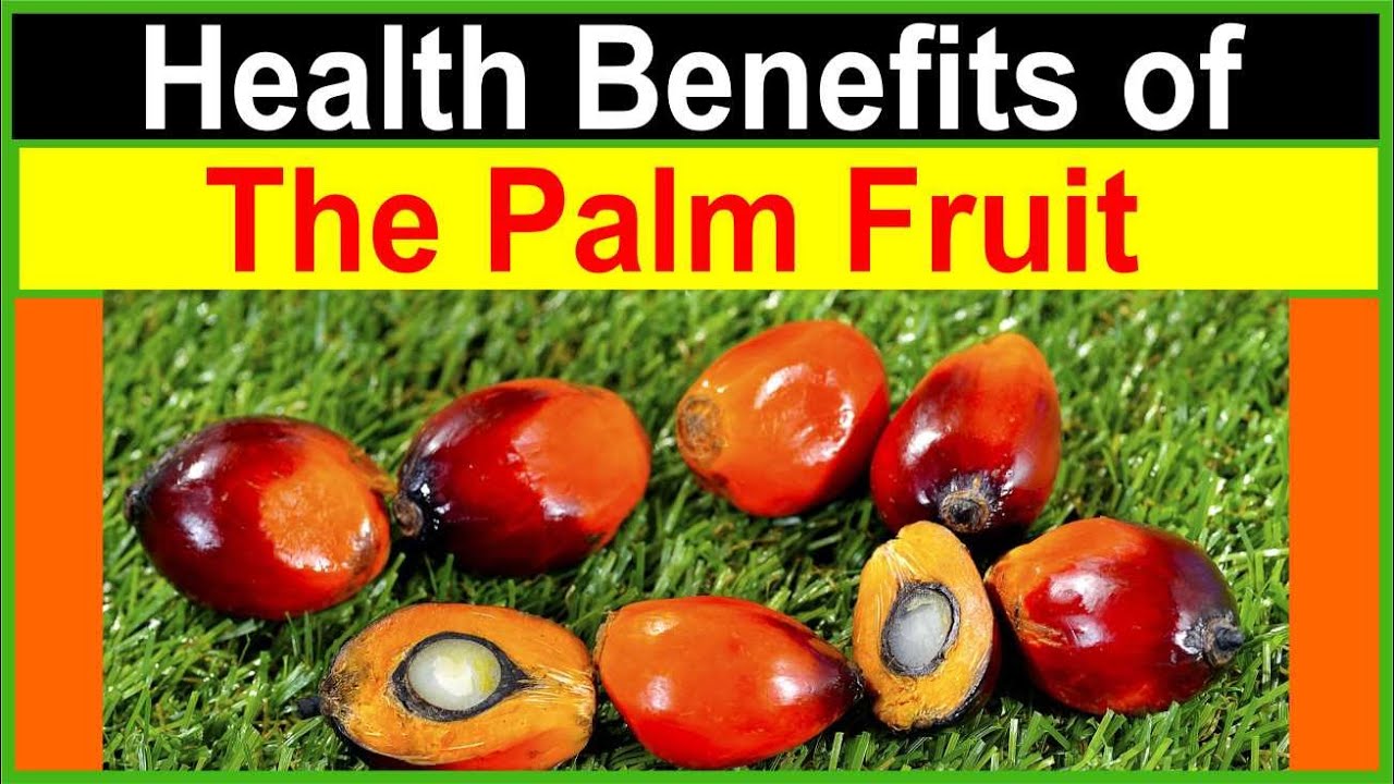 Health benefits of the palm fruil. (oil palm)