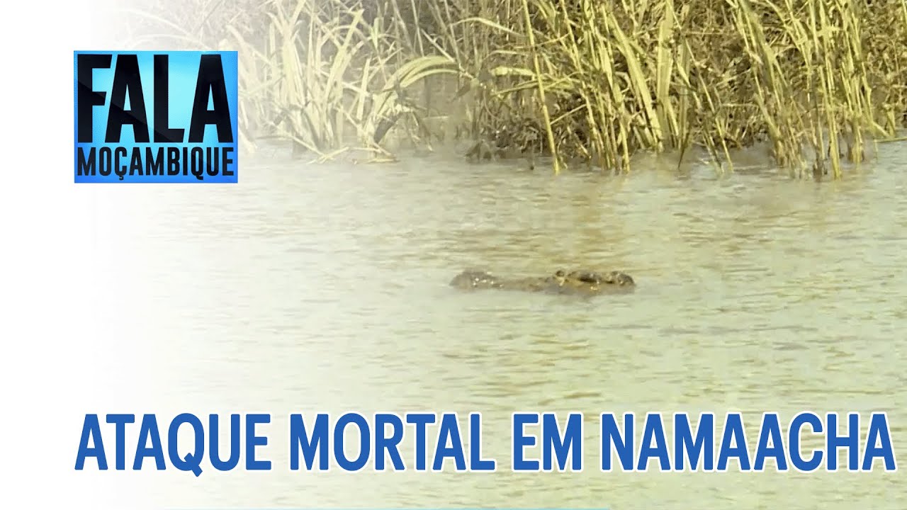 Aluno morre atacado por um crocodilo no Rio Leitão no distrito de Namaacha @PortalFM24