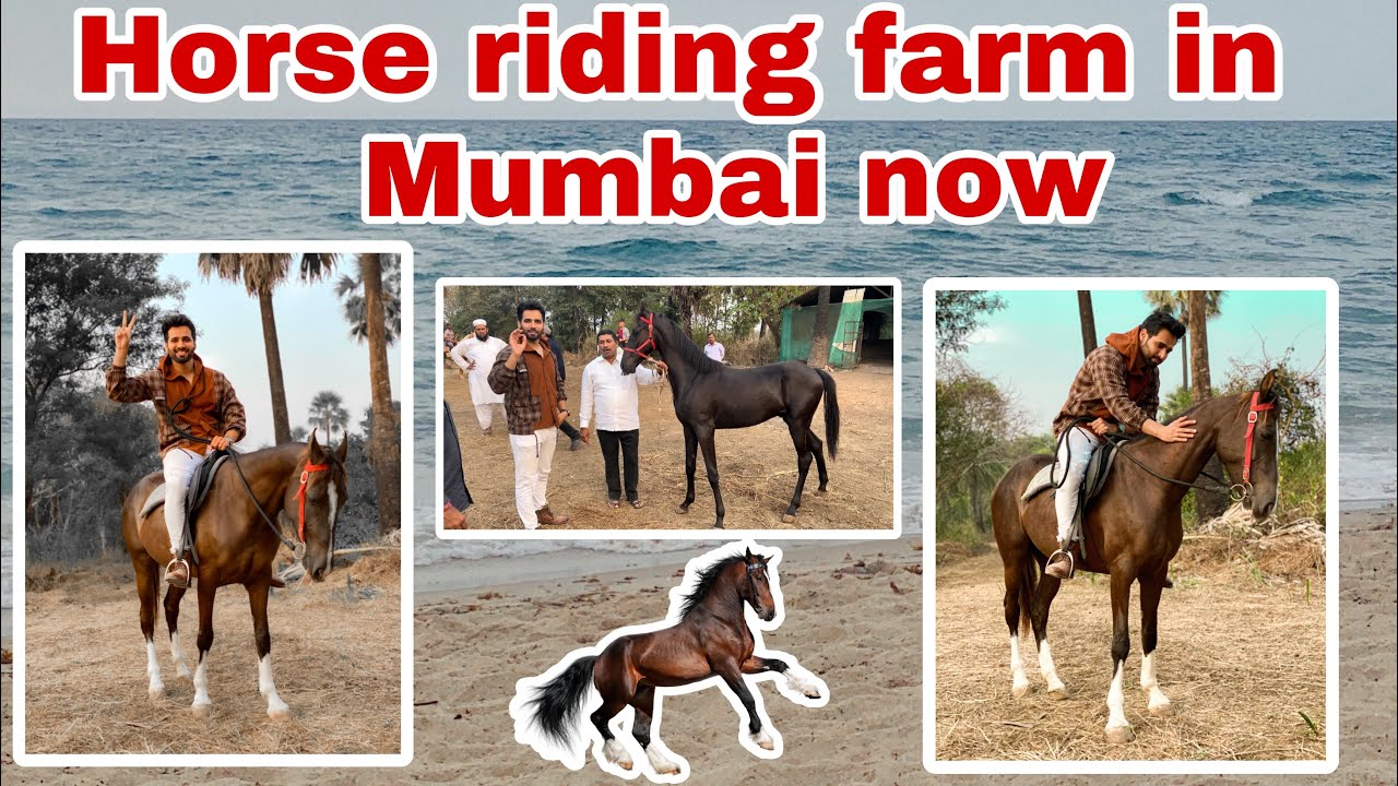 Horse riding farm in Mumbai now😍Ab aap bhi kar sakte horse riding😎|ShezaanShaikh|Vlog #horseriding