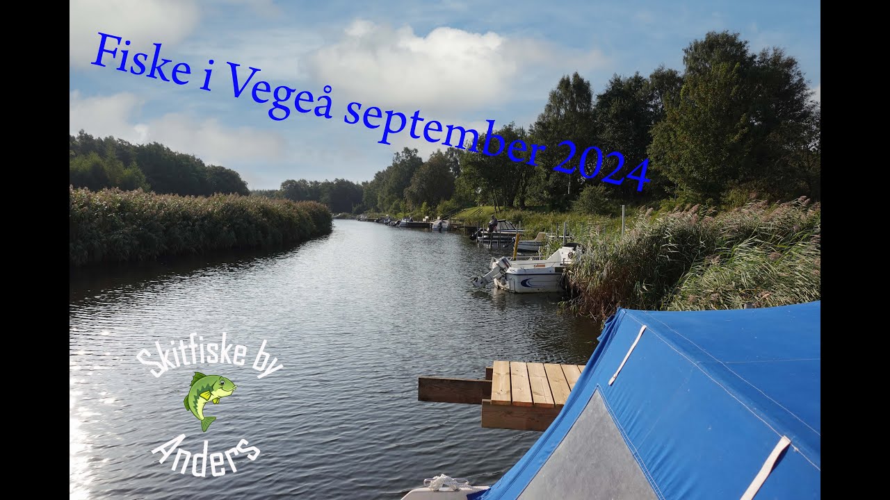 Fiske i Vegeå september 2024