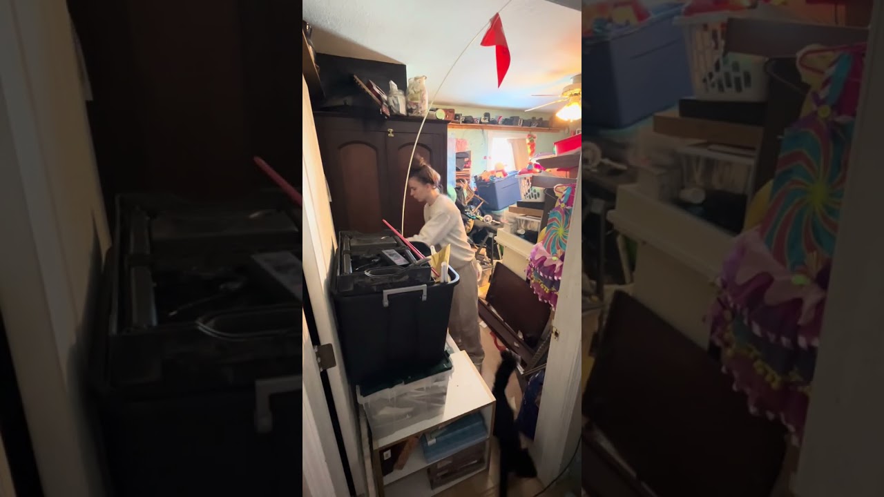 Cleaning my moms house!