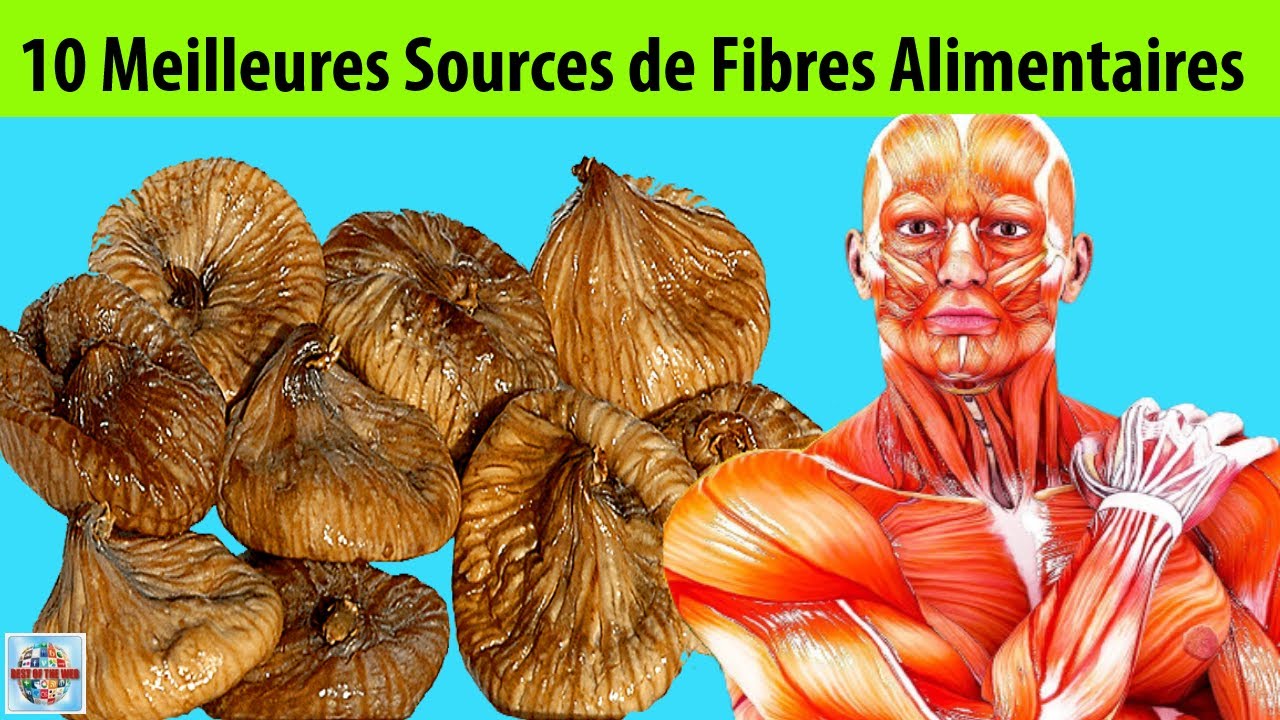 Boostez votre digestion : D&eacute;couvrez les 10 aliments les plus riches en fibres