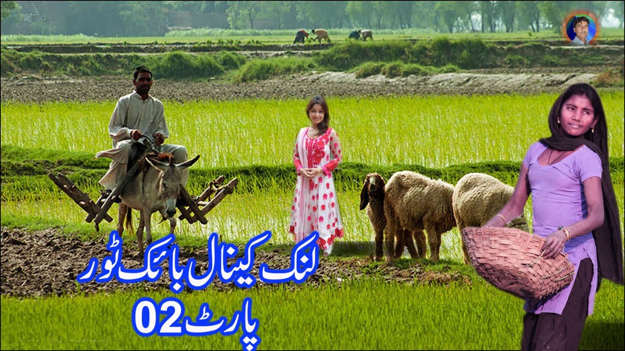 MURALA BRIDGE TO QADIRABAD ,,,  Qadirabad Link Canal Bike Tour Part 02