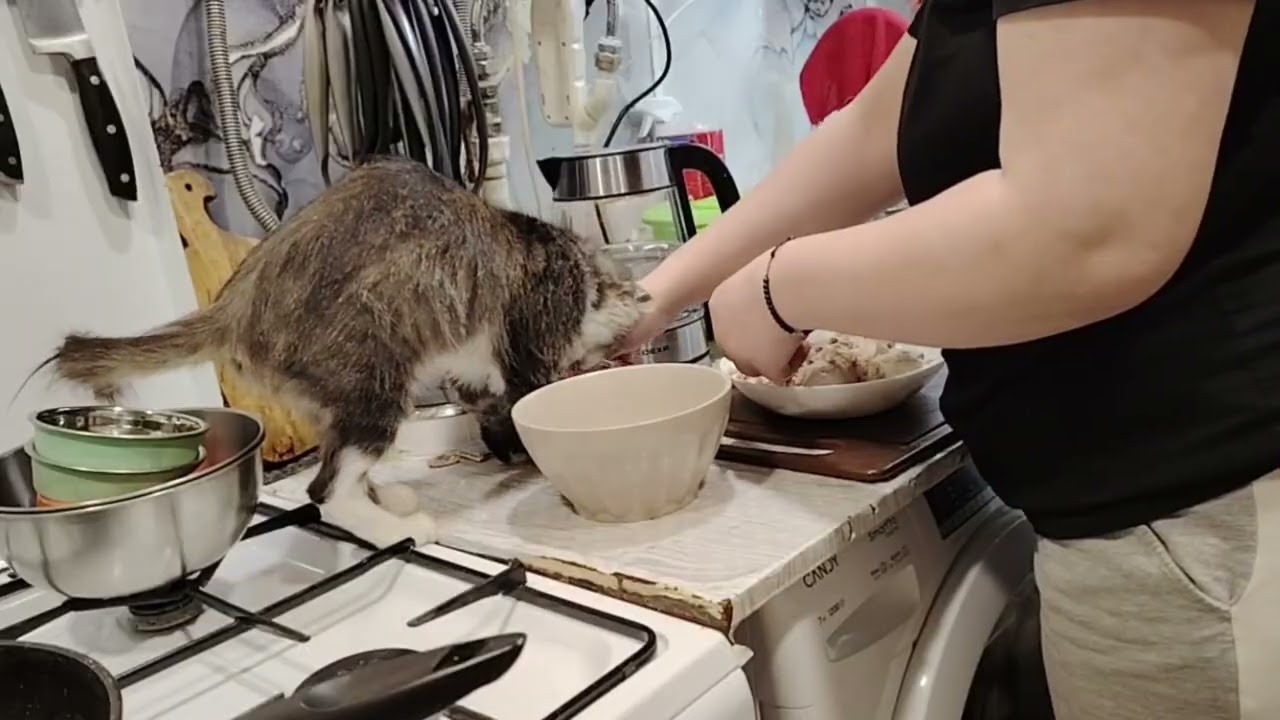 Готовлю пирожки с курицей и грибами