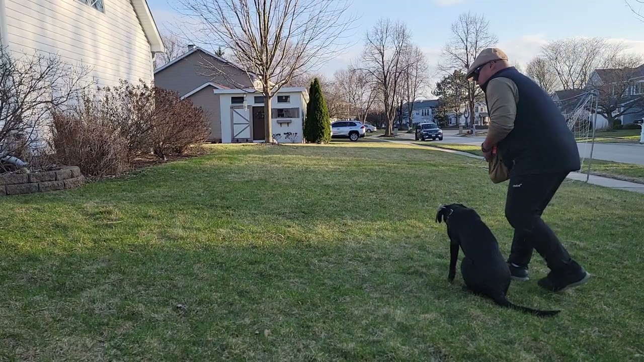 Ella - March 28 (5 months old)