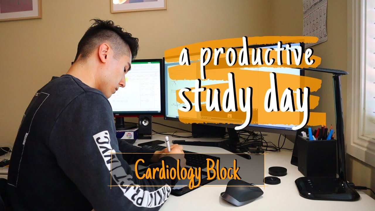 A Productive Study Day In Medical School | Cardiology Block
