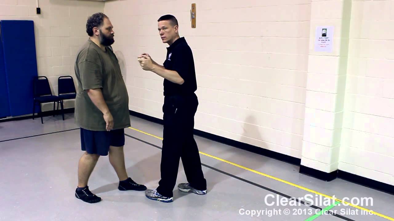 Spiral Energy (chan si jing) for Tai Chi, Xing Yi & Bagua: Aiming the Spiral