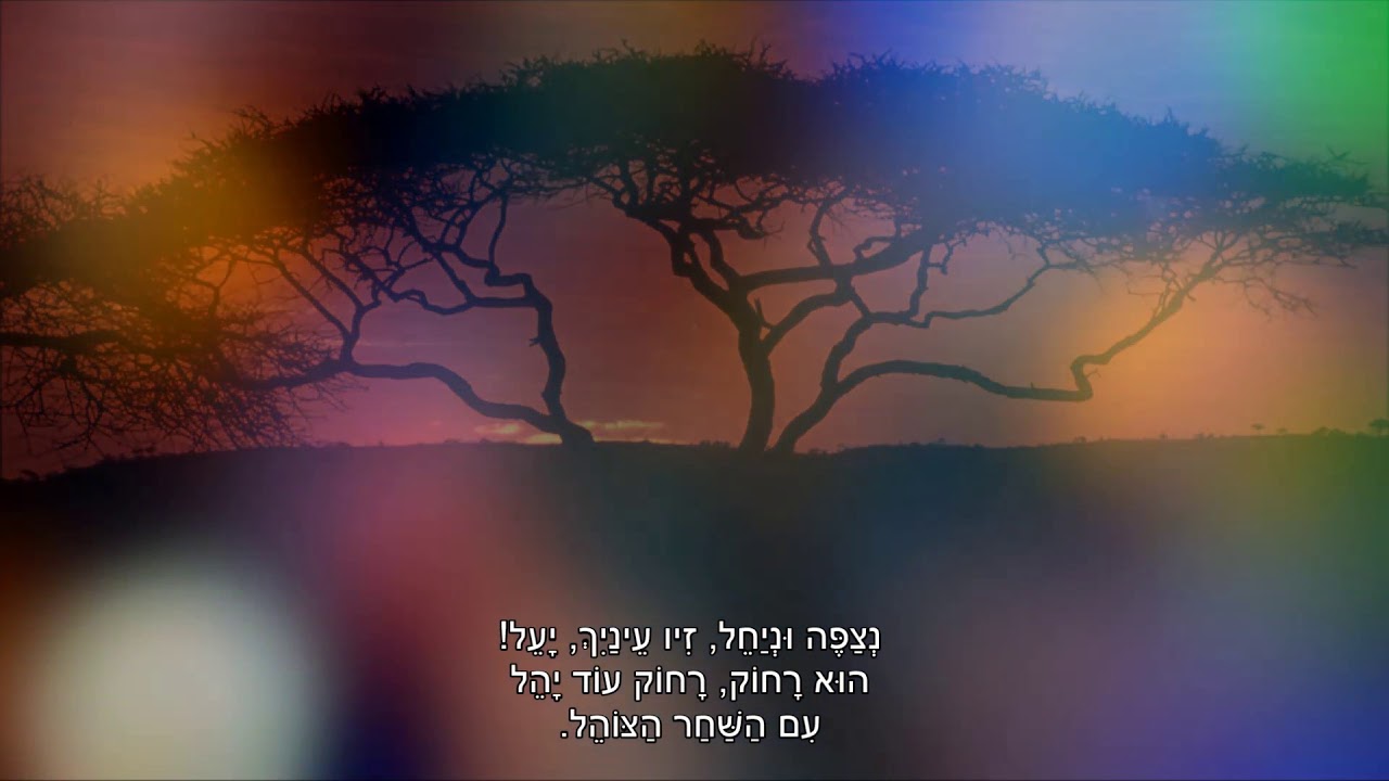 שיר עד - על ענפי שיטה - מילים: נתן יונתן |  לחן: רוסי | ביצוע: האחים והאחיות, 2005