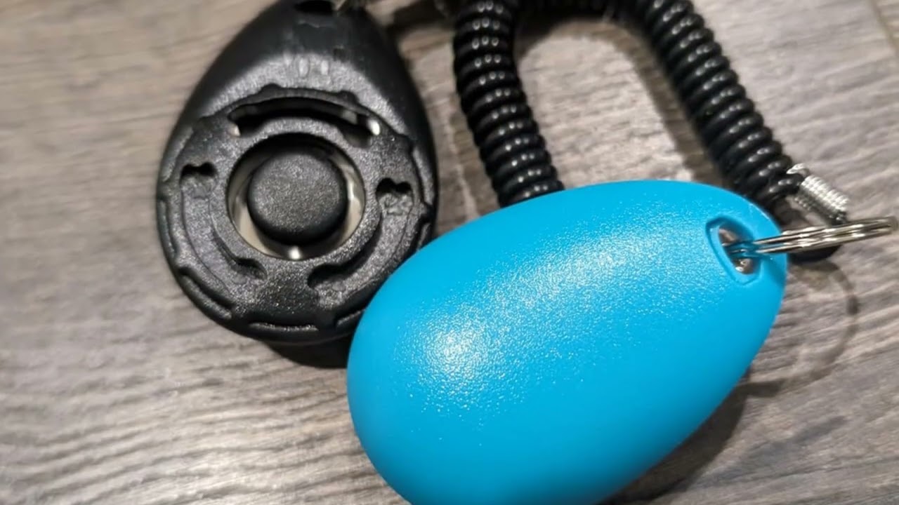 🐕🎯 Pet Training Clicker & Wrist Strap – Effective, Easy-to-Use Dog Training Tool!