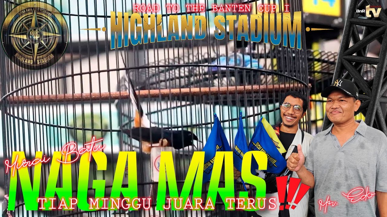 [HIGHLAND STADIUM]: NAGA MAS TIAP MINGGU JUARA ⁉️ BURUNG STABIL SETIAP LOMBA‼️MR. EDO📌