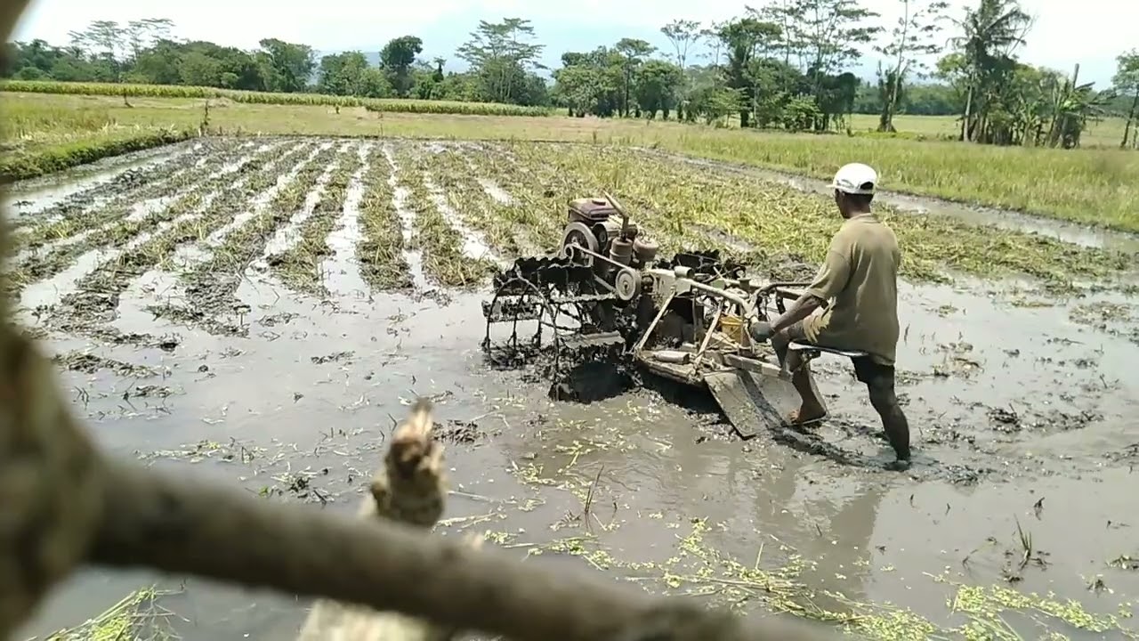 traktor lotari ts,, nafas tua menolak punah