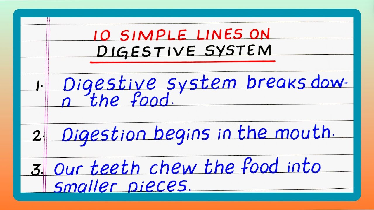 10 Lines on Digestive System | Few Lines on Digestive System | Updated Video