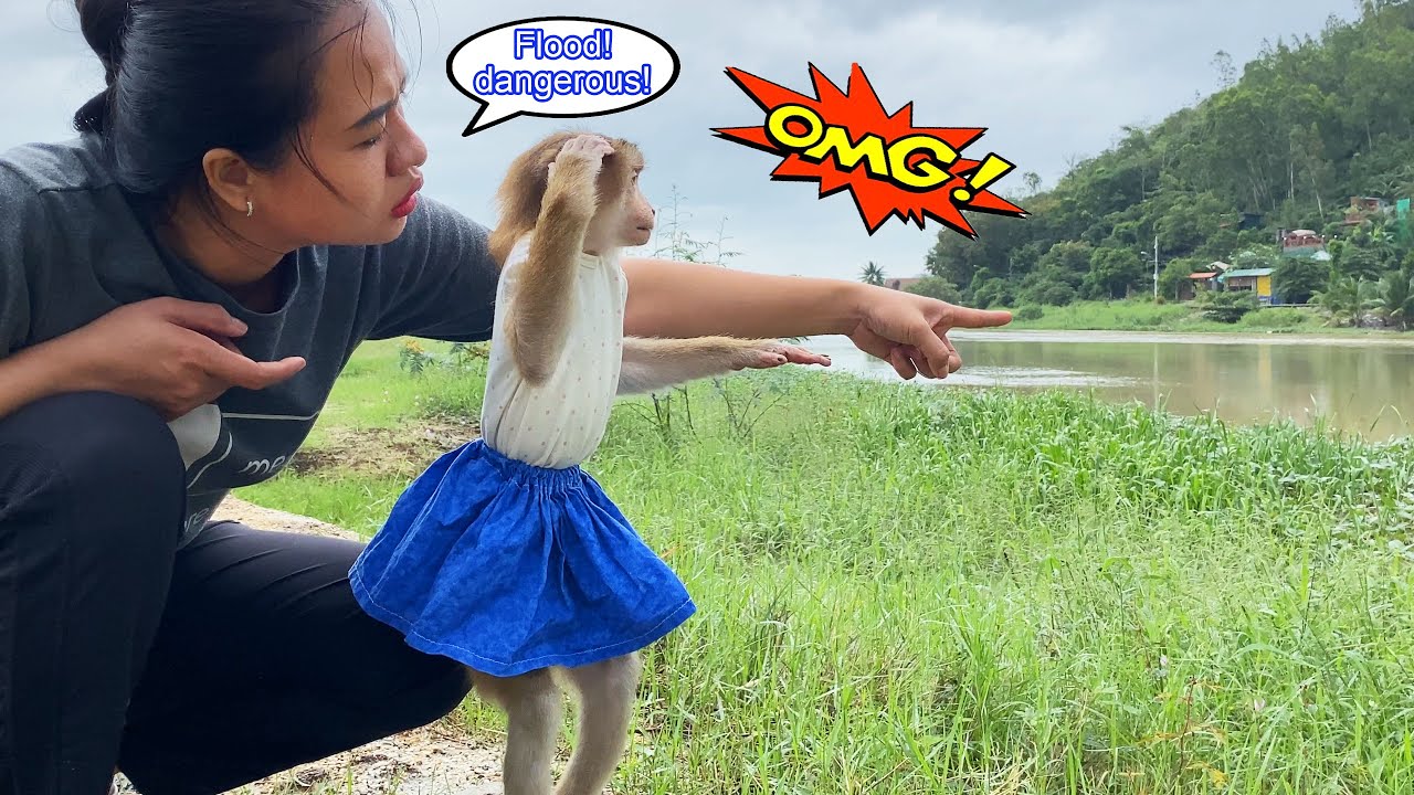 Mom...hurry up!! Monkey Lyly hurriedly pulled her mother's hand to save the garden from the flood.