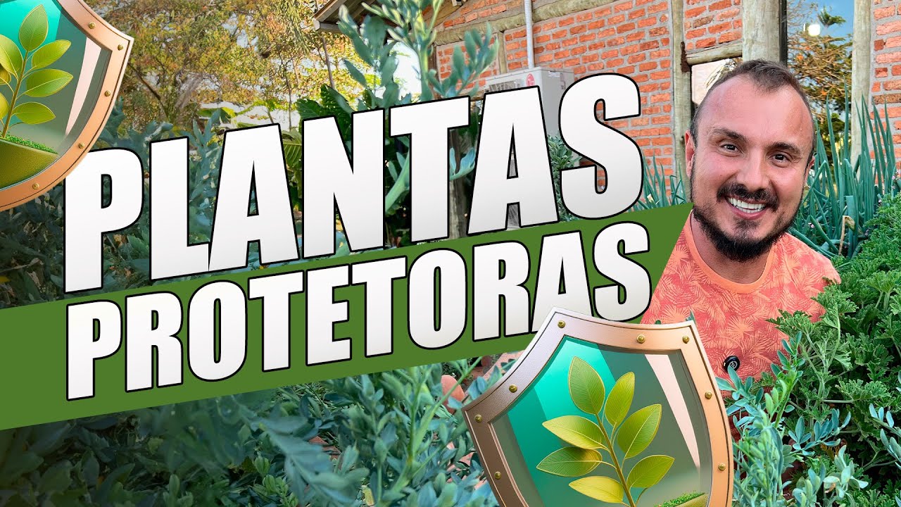 PLANTAS REPELENTES | Como AFASTAR Pragas, Pulg&atilde;o, Cochonilha, Mosca Branca