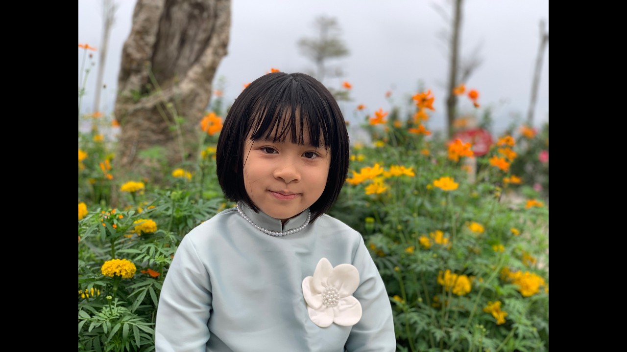 Cửa Ông - Cái Bầu 2026