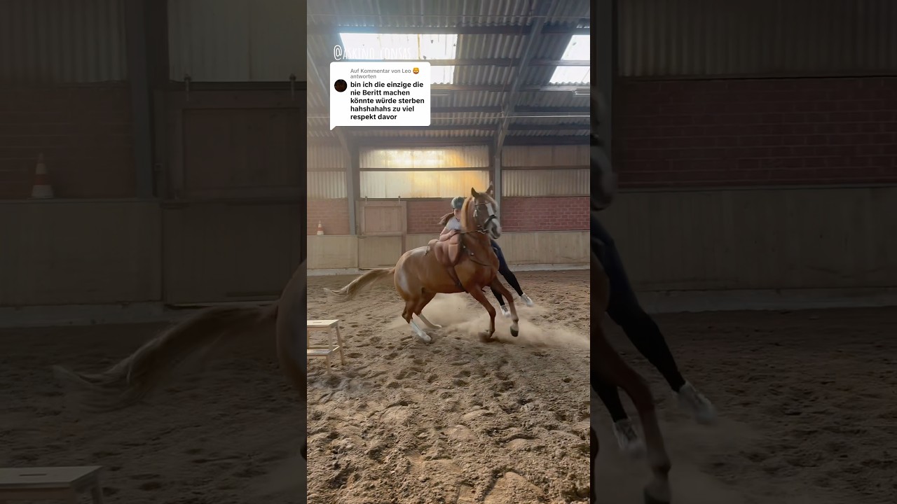Ruby - Trainingsupdate P1 | Korrekturberitt #askino #horse #beritt #korrekturberitt #problempferd