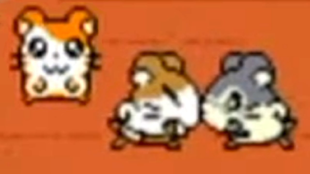 Hamtaro: Ham-Hams Unite! Walkthrough Part 8 - Sunflower Market (1/2)