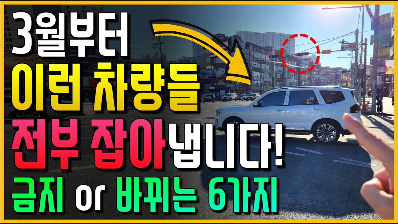 결국.. 3월부터 이런 차량들 전부 단속합니다!! 금지 or 바뀌는 6가지!