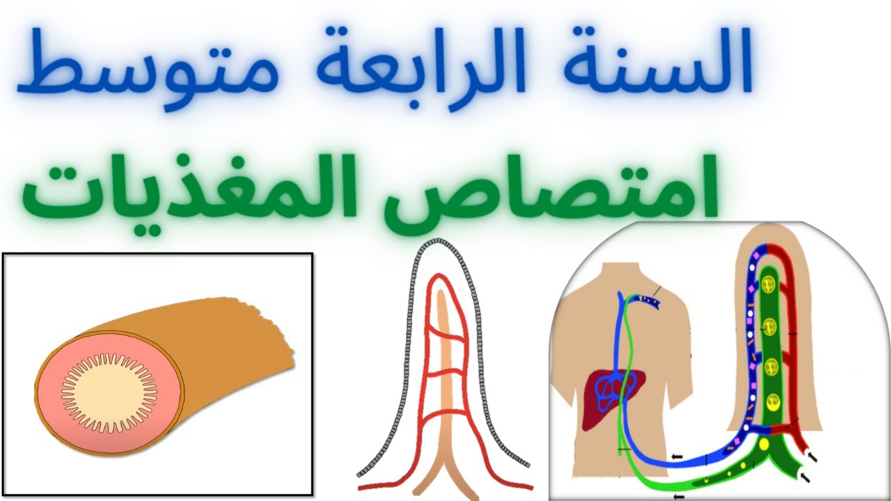 امتصاص المغذيات