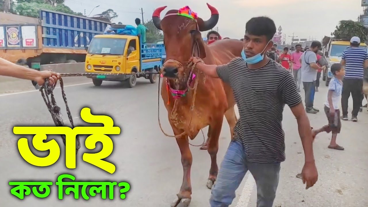 Bhai Koto Nilo? Gabtoli Gorur Haat 2021 Part 13
