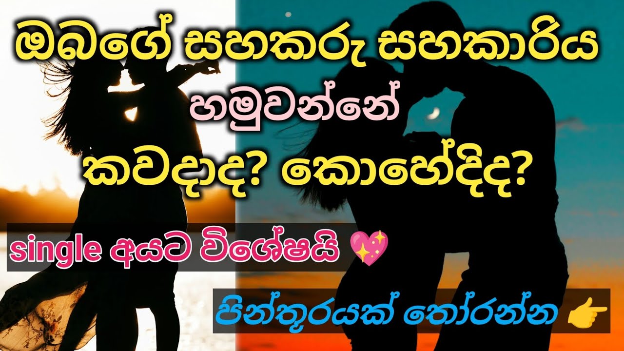 ඔබේ දෛවෝපගත හමුවීම සිදු වන්නේ කවදාද? කොහෙදීද?  🌠 (දේවදූත පණිවිඩ සමඟ) @divineflow-Thathsarani 