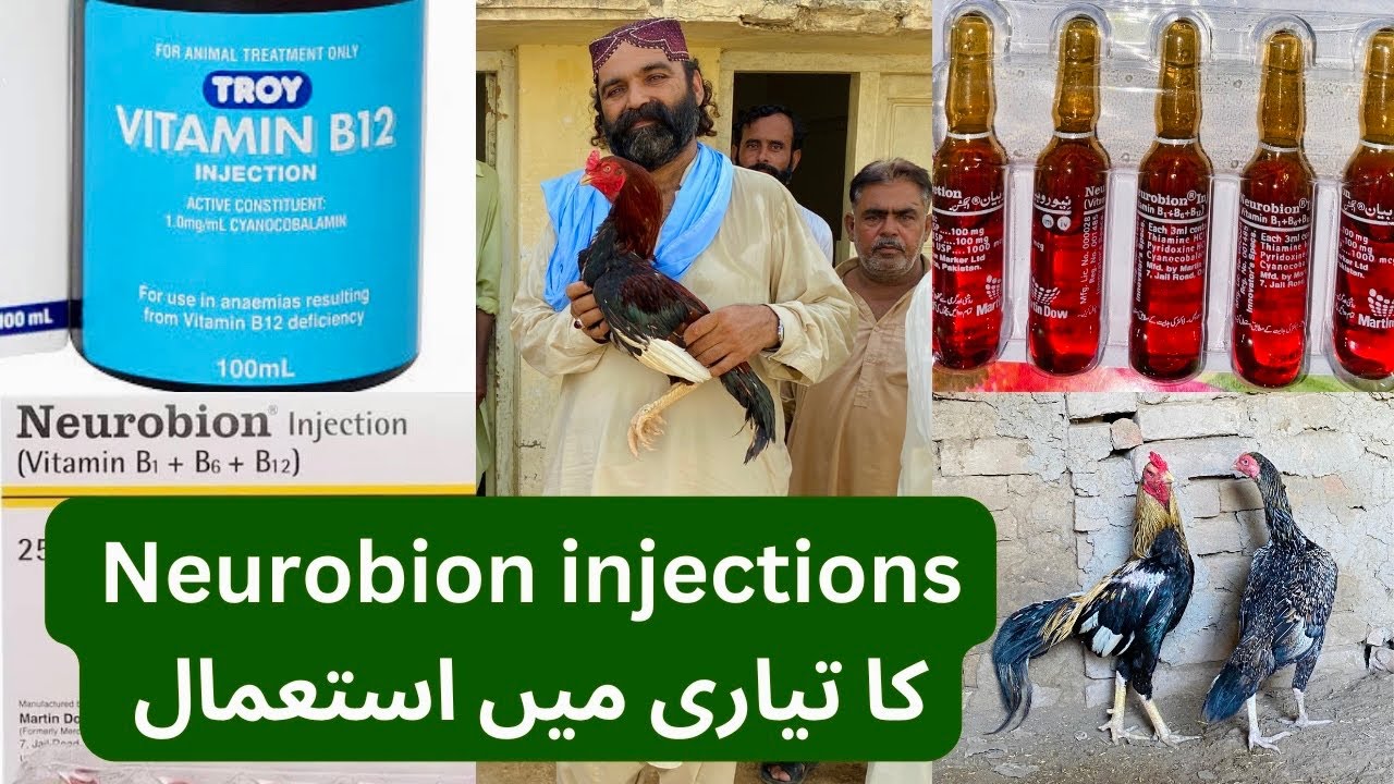 Neurobion  Injection Ka Tyari Main Kiya Kirdar Hay