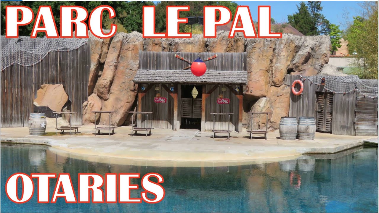 Parc LE PAL, spectacle des OTARIES de Patagonie