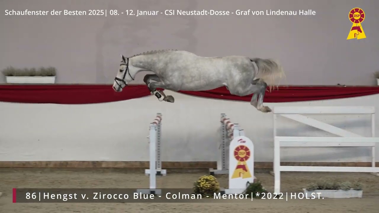 86 Hengst v. Zirocco Blue - Colman