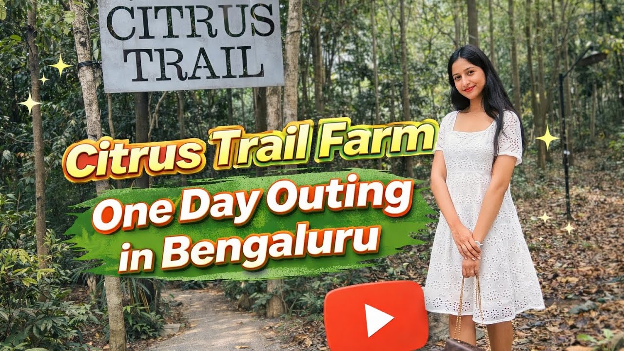 VLOG | From City Chaos to Forest Calm 🌿 Citrus Trail Farm