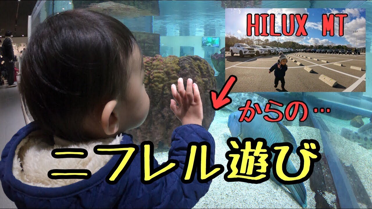ハイラックスMTからのニフレル