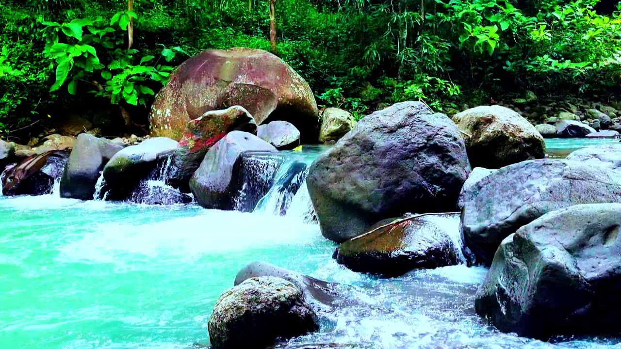 Calming River Flow with Chirping Birds ASMR: Nature’s White Noise for Sleep Meditation & Study