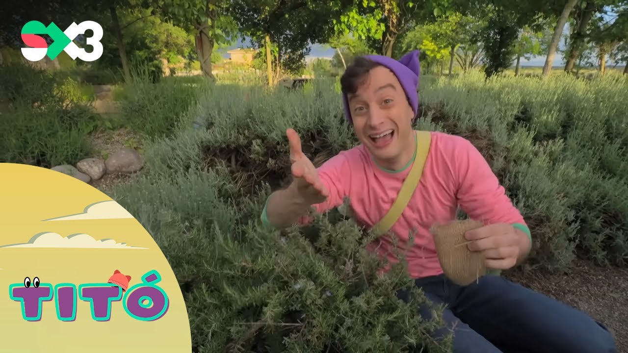 Excursió amb plantes aromàtiques | Titó