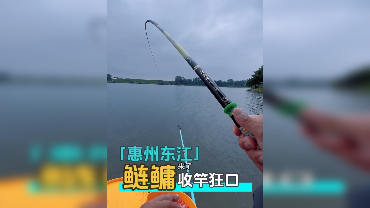 探索惠州东江鲢鳙钓点，等到快收竿才来鱼