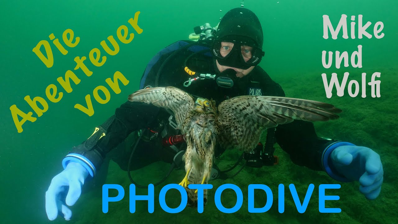 Die Abenteuer von Mike und Wolfi - PHOTODIVE